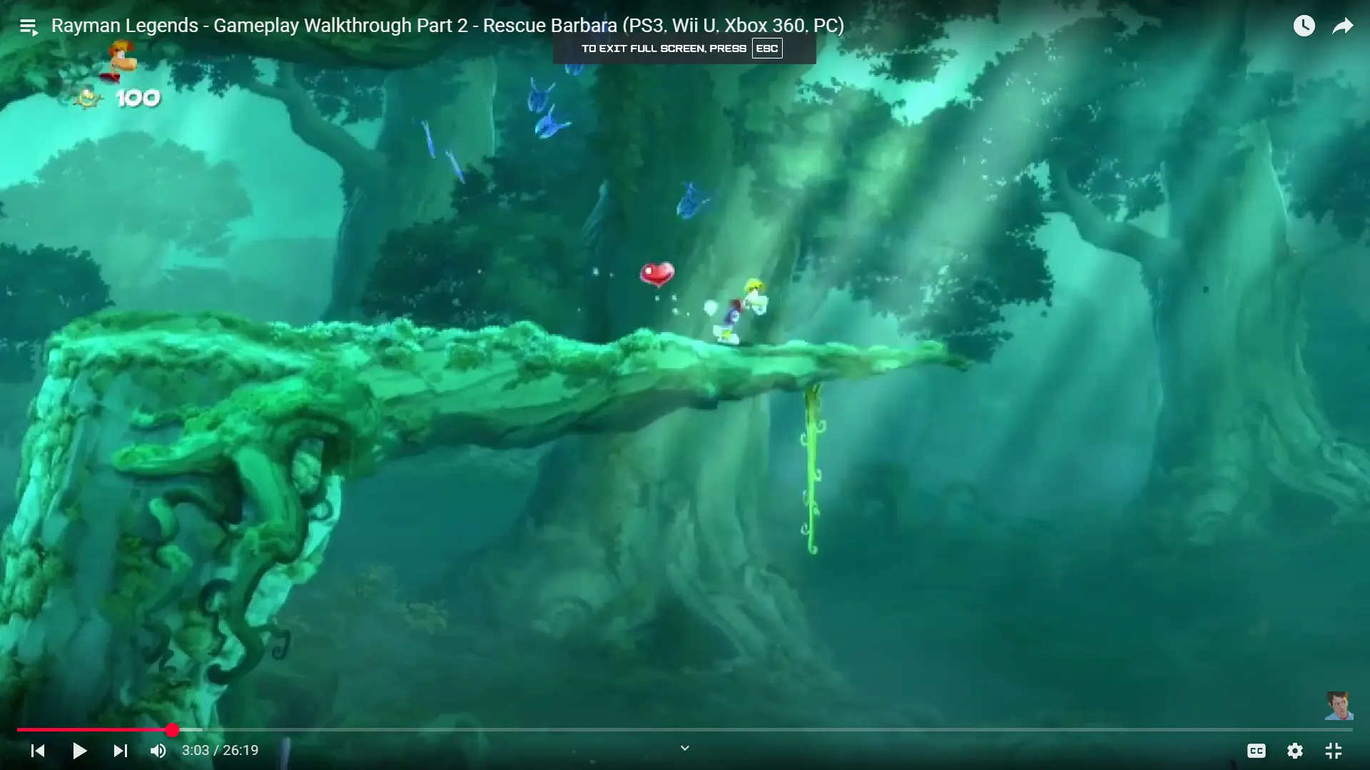 Forest Background Reference Images